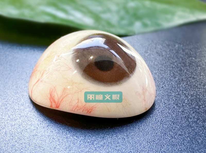 郑州丽瞳义眼定做|河南义眼定制|郑州义眼|义眼片|义眼片安装|进口义眼材料|高仿真假眼|高分子超薄义眼定制中心|郑州丽瞳义眼定制工作室_郑州丽 ...